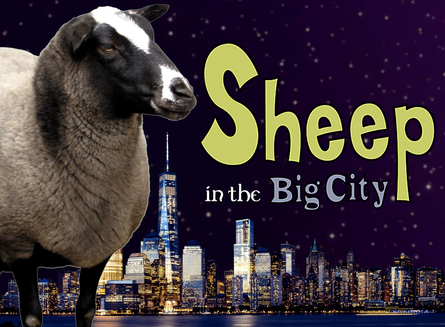 Sheep in the Big City